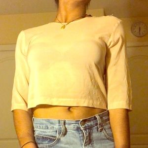 Sheer long sleeve crop top